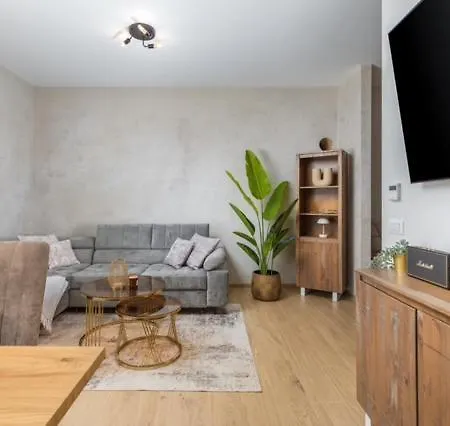 Lux Liburni - New Pula